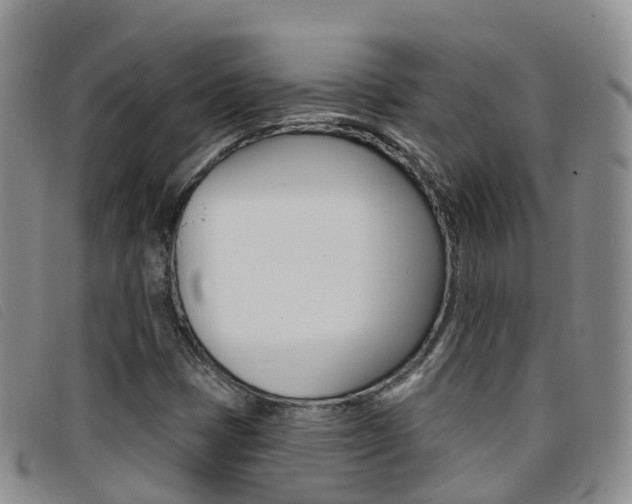 X0000096721401200802051050