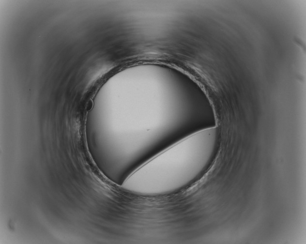 X0000096721402200802051050