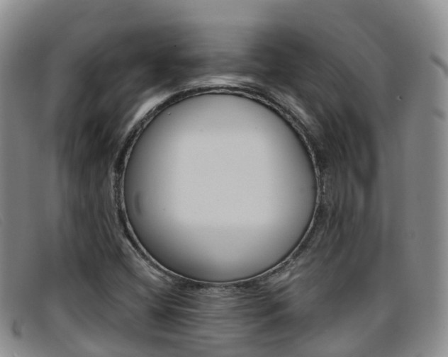 X0000096721404200802051050