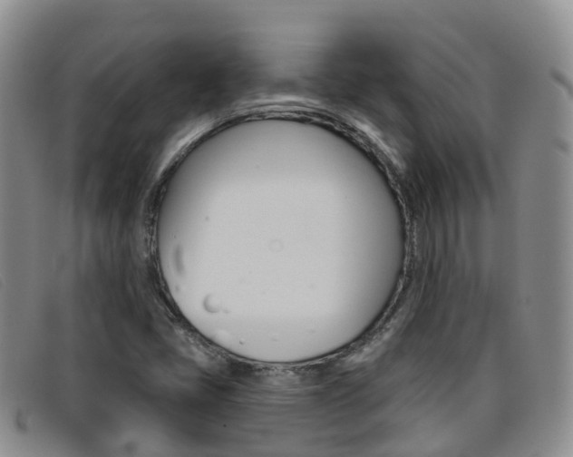 X0000096721405200802051050