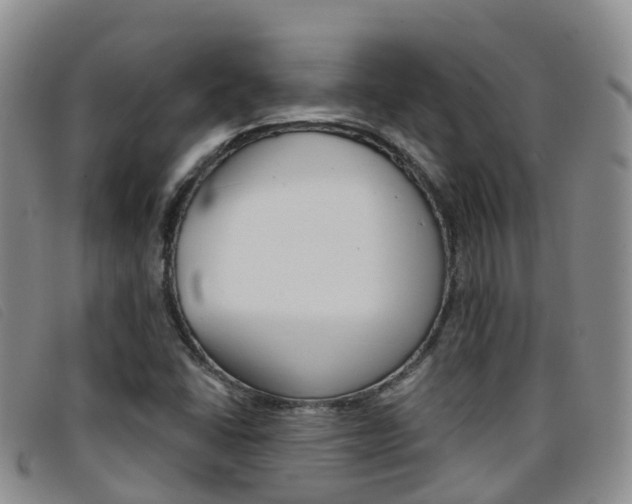 X0000096721406200802051050