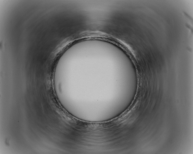 X0000096721407200802051050