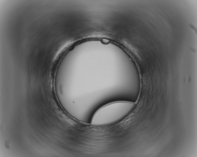 X0000096721408200802051050