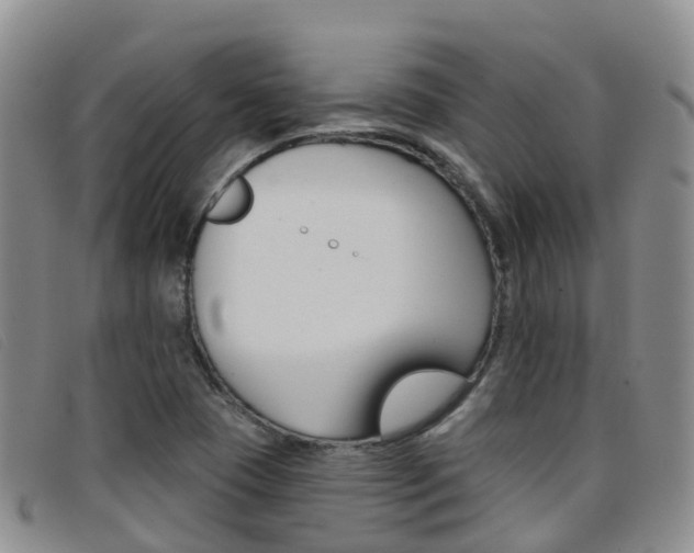 X0000096721409200802051050