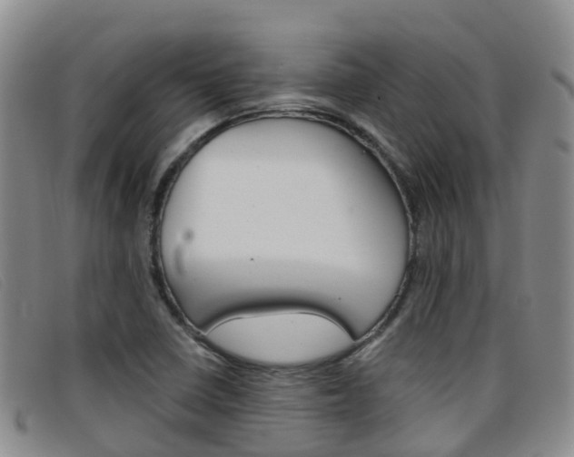 X0000096721410200802051050