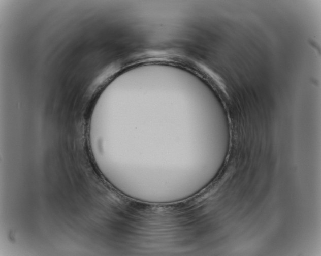 X0000096721411200802051050