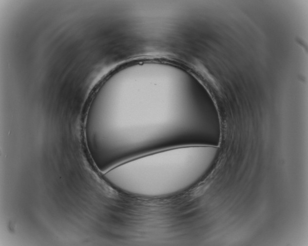 X0000096721412200802051050