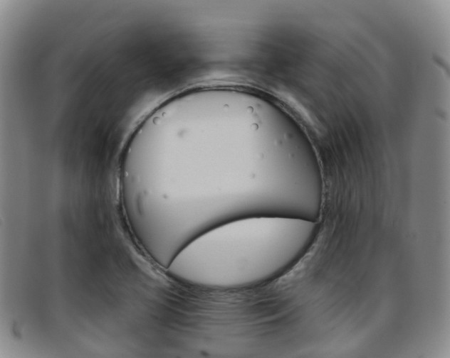 X0000096721413200802051050