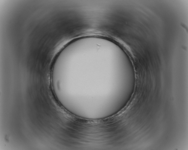X0000096721415200802051050