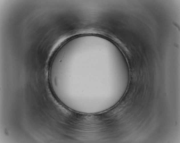 X0000096721416200802051050