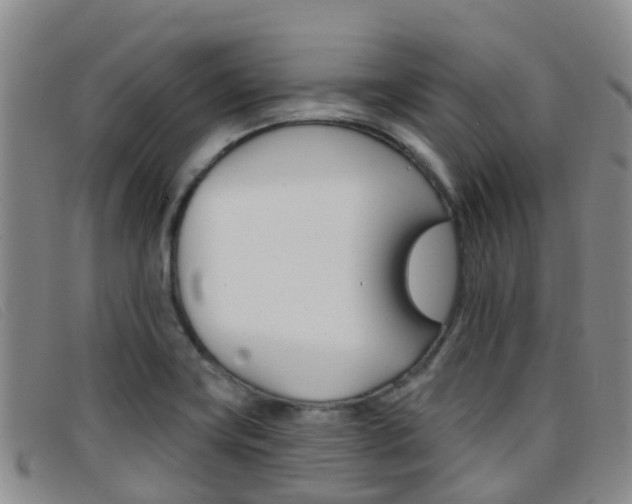 X0000096721419200802051050