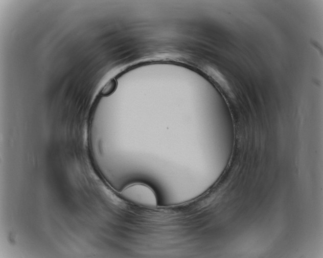 X0000096721420200802051050