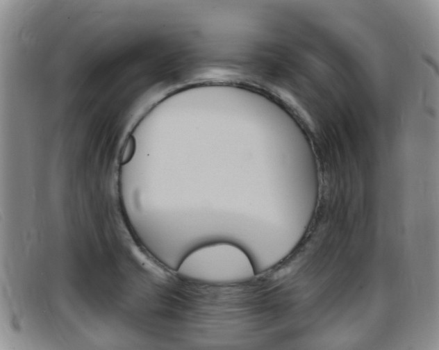 X0000096721421200802051050