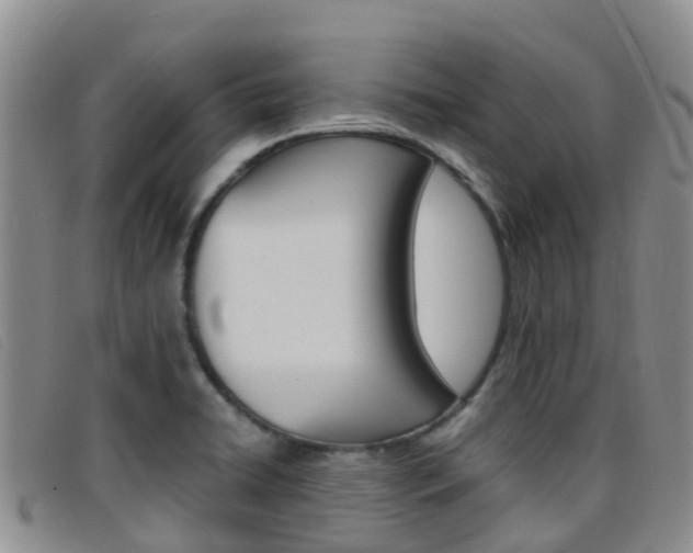X0000096721422200802051050