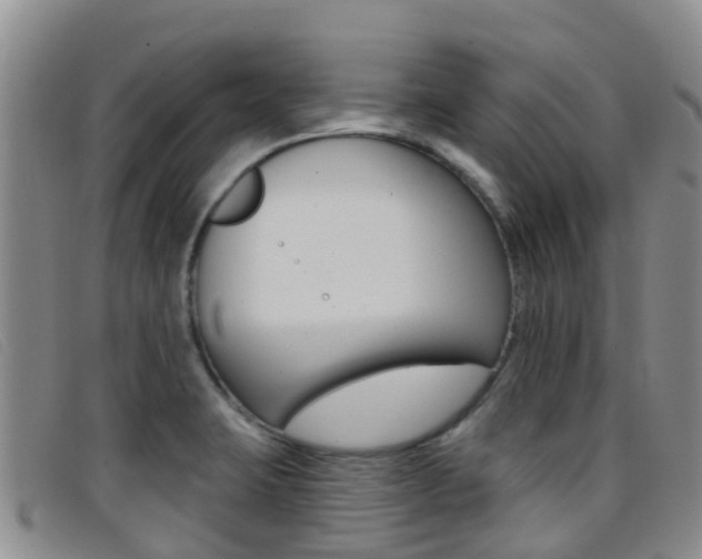 X0000096721423200802051050