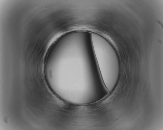 X0000096721424200802051050