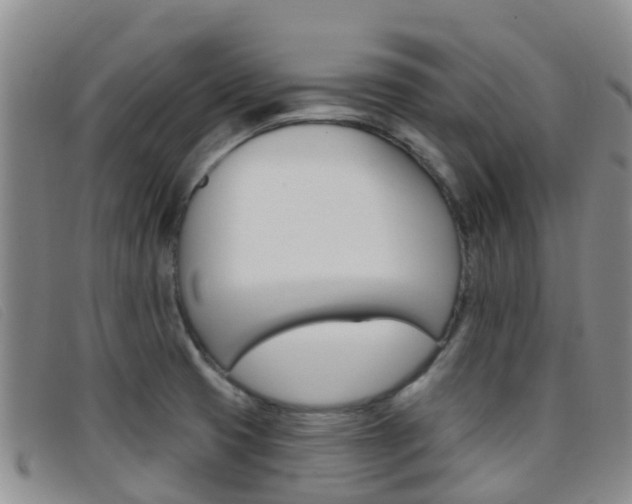 X0000096721425200802051050