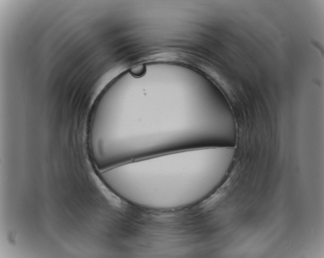 X0000096721426200802051050