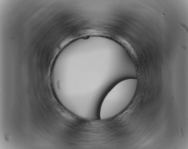 X0000096721427200802051050