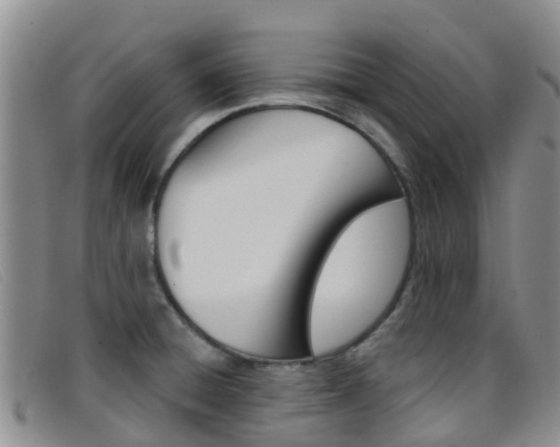 X0000096721428200802051050