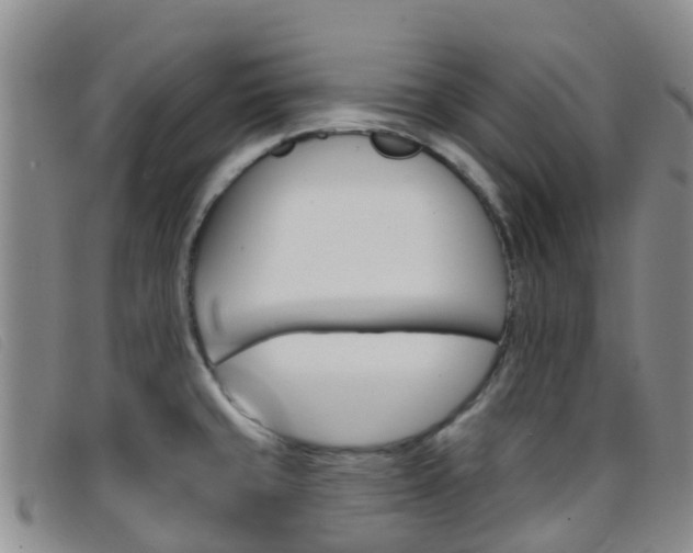 X0000096721429200802051050