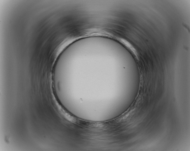X0000096721431200802051050