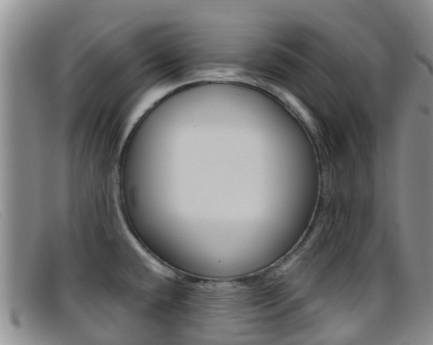 X0000096721432200802051050