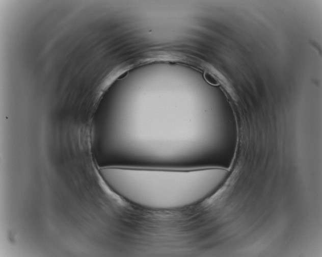 X0000096721433200802051050