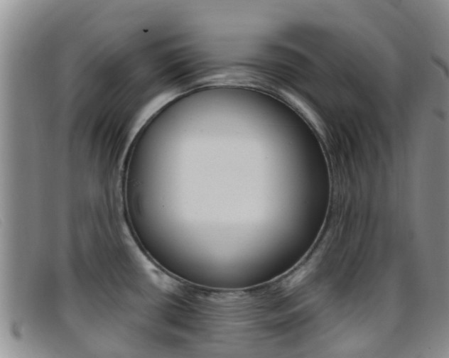 X0000096721434200802051050