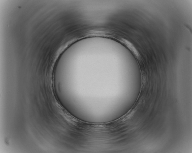 X0000096721435200802051050