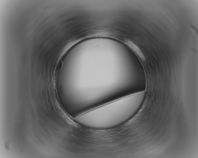 X0000096721436200802051050