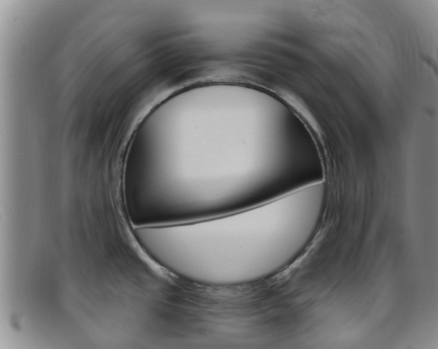X0000096721437200802051050