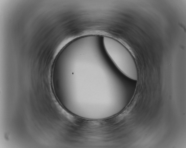 X0000096721438200802051050