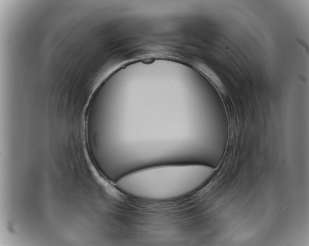 X0000096721439200802051050