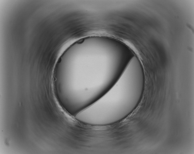 X0000096721440200802051050