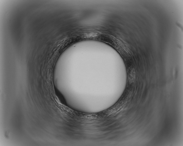 X0000096721441200802051049