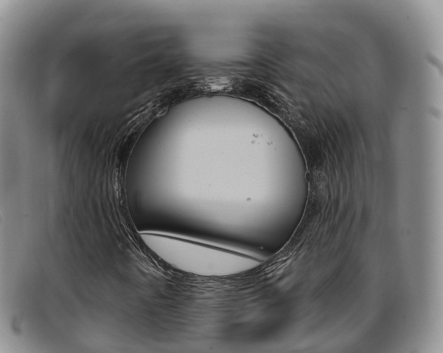 X0000096721442200802051049