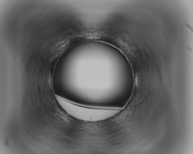 X0000096721444200802051049