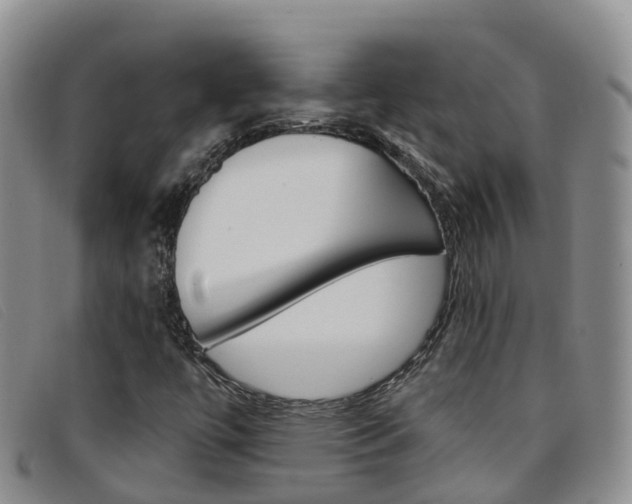X0000096721447200802051049