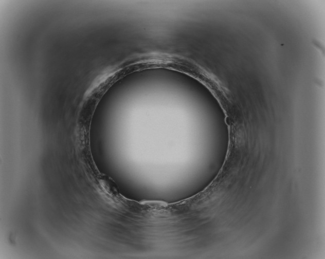 X0000096721448200802051049