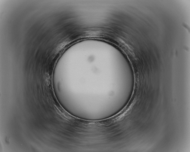 X0000096721449200802051049