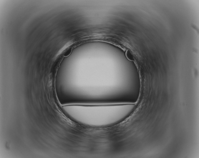 X0000096721450200802051049