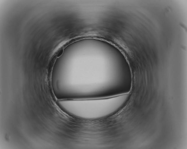 X0000096721452200802051049