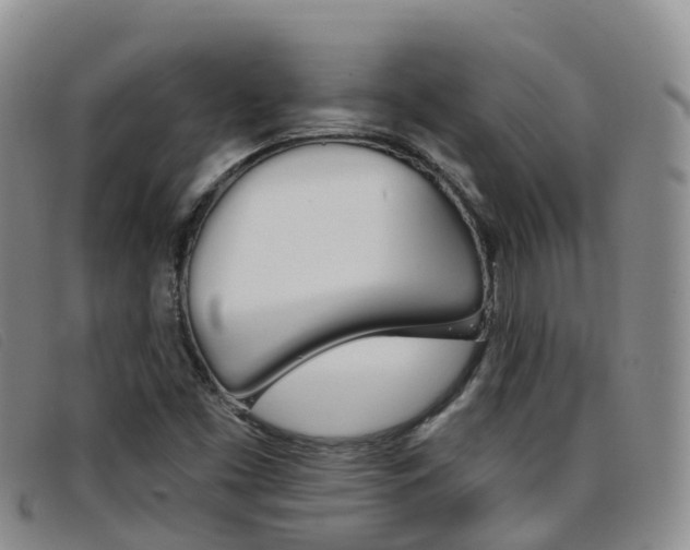 X0000096721453200802051049