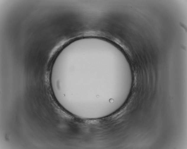 X0000096721454200802051049