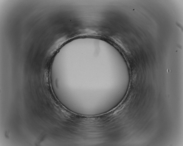 X0000096721455200802051049