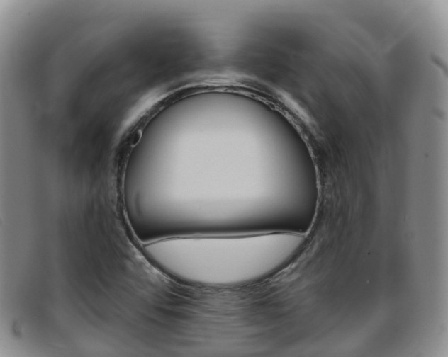 X0000096721456200802051049