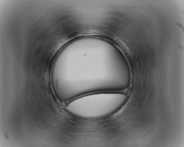 X0000096721457200802051049