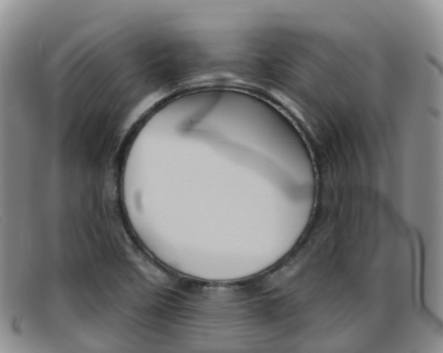 X0000096721458200802051049