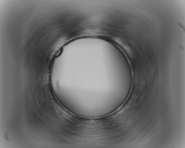 X0000096721459200802051049